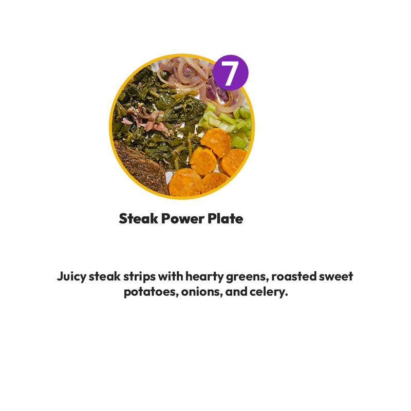 15 Meals plan